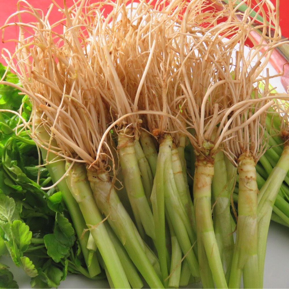 【冬季限定】せり鍋